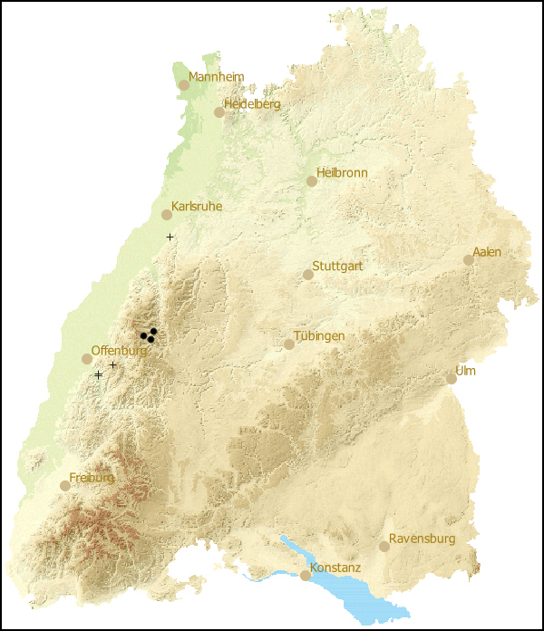 Verbreitung Arion (Mesarion) simrothi in Baden-Wuerttemberg