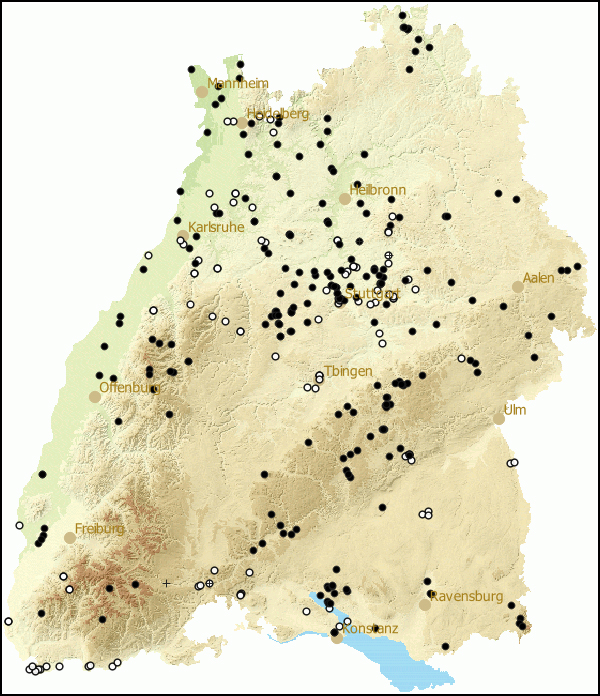 Verbreitung Arion (Arion) vulgaris in Baden-Wuerttemberg