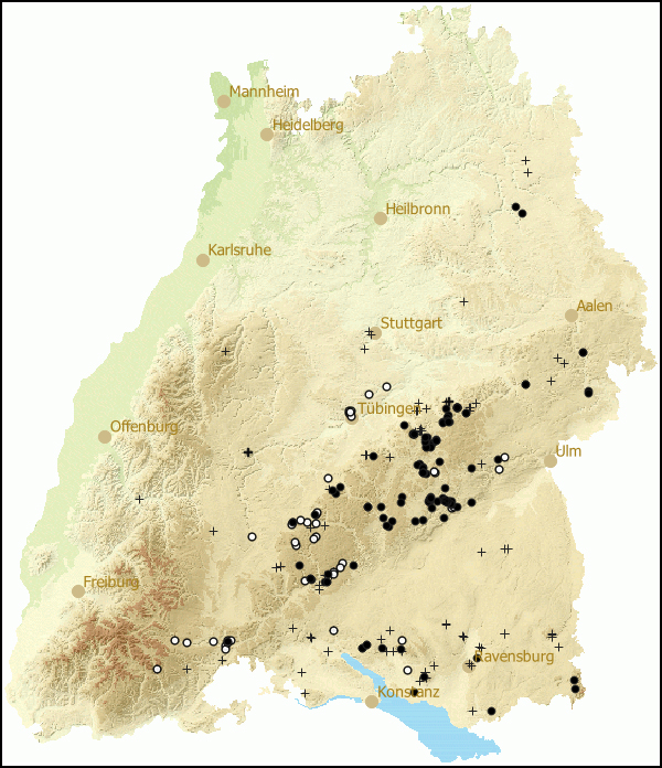 Verbreitung Bulgarica cana in Baden-Wuerttemberg