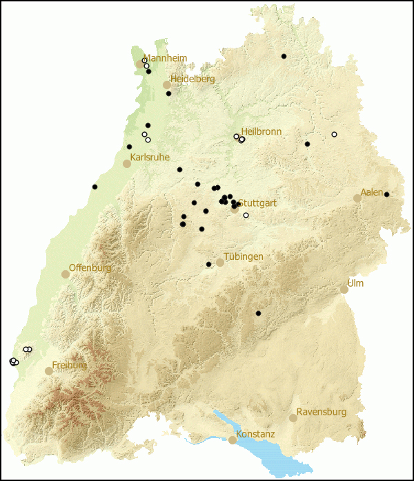 Verbreitung Cernuella neglecta in Baden-Wuerttemberg