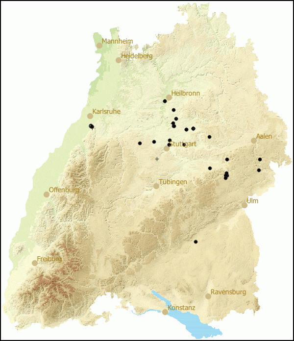 Verbreitung Chilostoma cingulatum  in Baden-Wuerttemberg