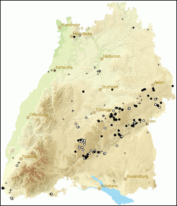 Verbreitung Chondrina avenacea  in Baden-Wuerttemberg