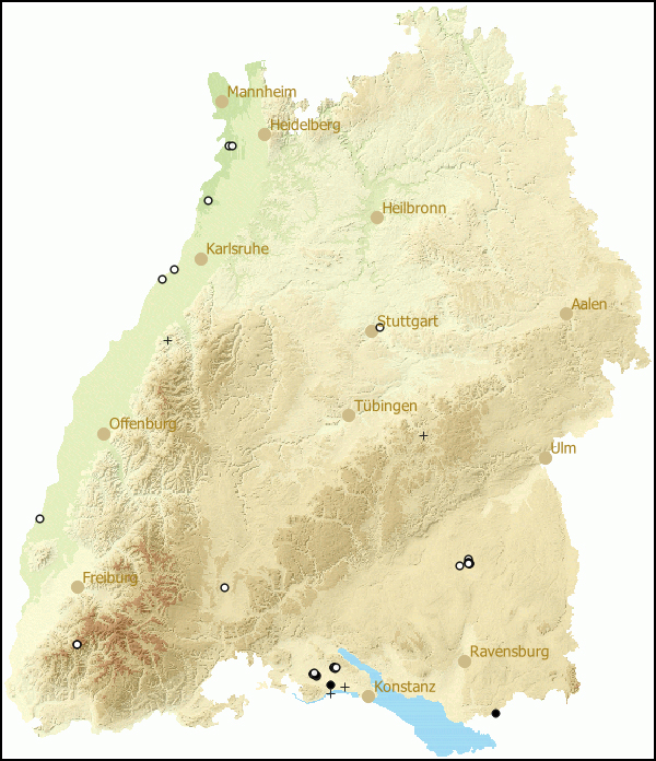 Verbreitung Cochlicopa nitens in Baden-Wuerttemberg