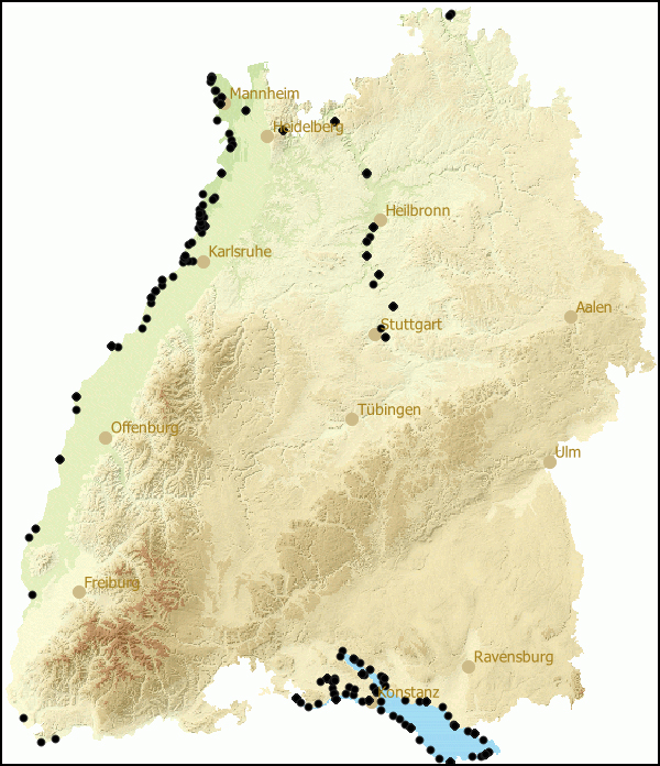 Verbreitung Dreissena rostriformis bugensis in Baden-Wuerttemberg