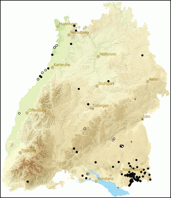 Verbreitung Euconulus praticola in Baden-Wuerttemberg