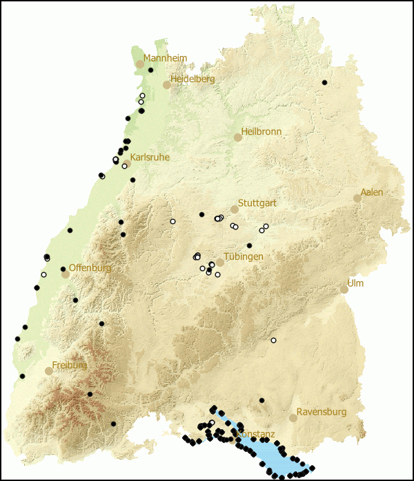 Verbreitung Gyraulus parvus in Baden-Wuerttemberg