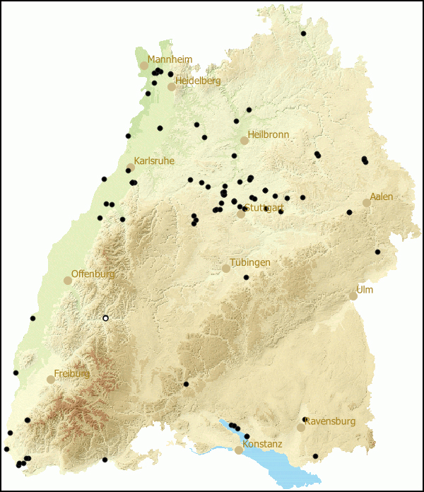 Verbreitung Hygromia cinctella in Baden-Wuerttemberg