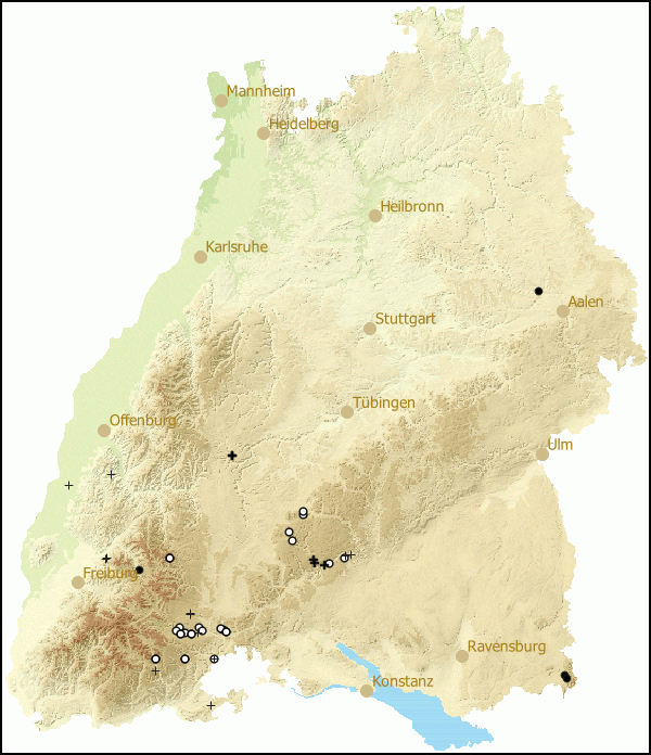 Verbreitung Mediterranea depressa in Baden-Wuerttemberg