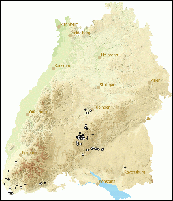 Verbreitung Neostyriaca corynodes in Baden-Wuerttemberg