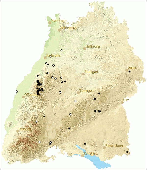 Verbreitung Oxychilus alliarius in Baden-Wuerttemberg