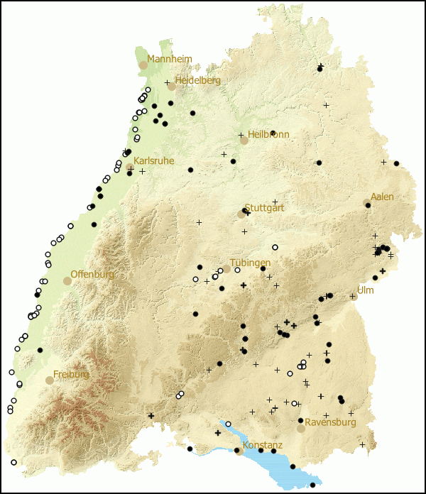 Verbreitung Physa fontinalis in Baden-Wuerttemberg