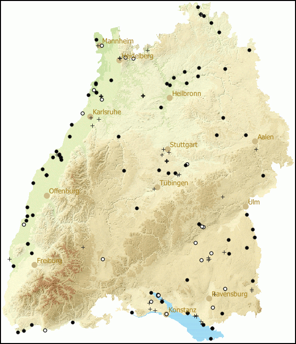 Verbreitung Pisidium amnicum in Baden-Wuerttemberg