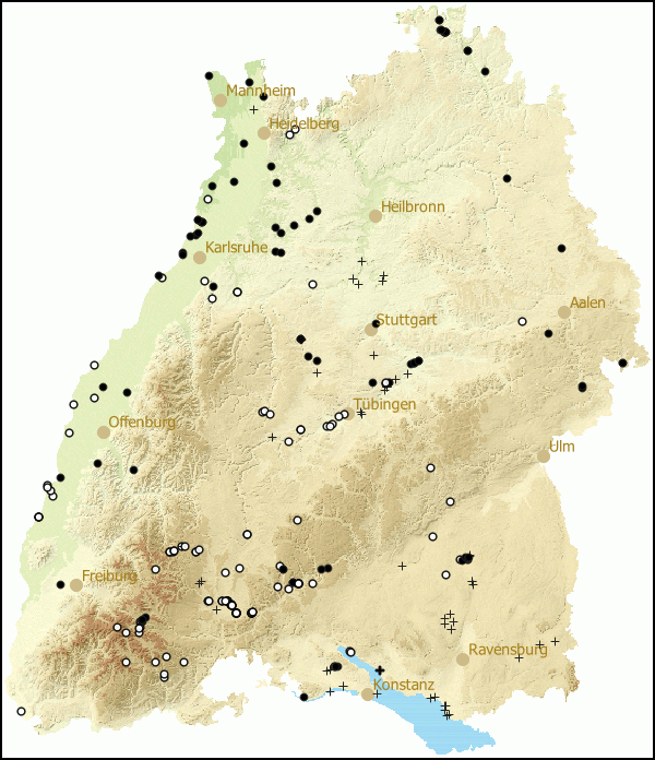 Verbreitung Pisidium subtruncatum in Baden-Wuerttemberg