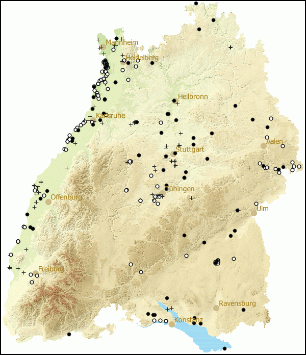 Verbreitung Planorbarius corneus in Baden-Wuerttemberg