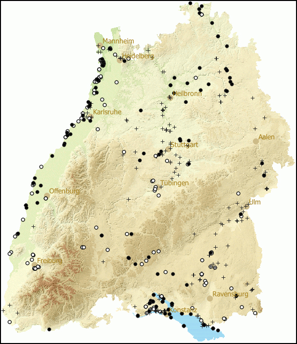 Verbreitung Radix auricularia in Baden-Wuerttemberg