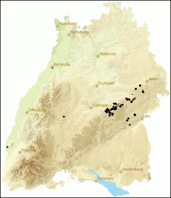 Verbreitung Ruthenica filograna in Baden-Wuerttemberg