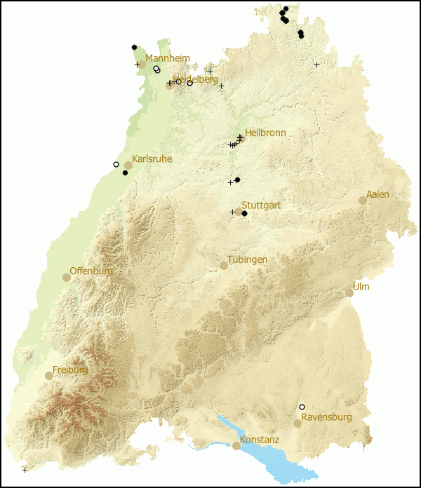 Verbreitung Sphaerium rivicola in Baden-Wuerttemberg