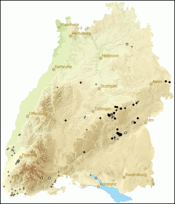 Verbreitung Sphyradium doliolum in Baden-Wuerttemberg