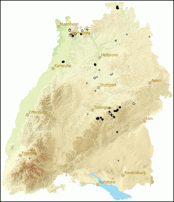 Verbreitung Tandonia rustica in Baden-Wuerttemberg