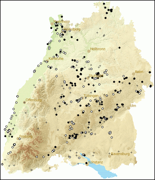 Verbreitung Truncatellina cylindrica in Baden-Wuerttemberg