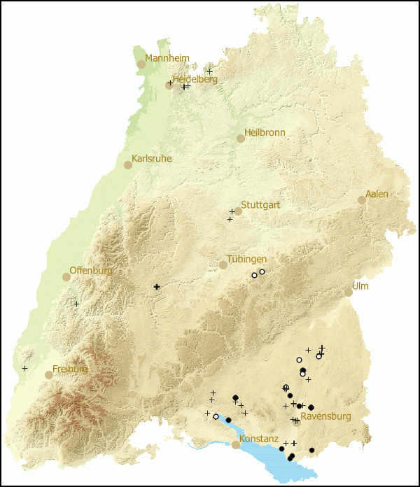 Verbreitung Urticicola umbrosus in Baden-Wuerttemberg