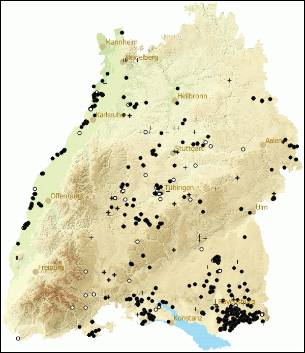 Verbreitung Vertigo angustior in Baden-Wuerttemberg