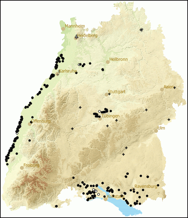 Verbreitung Vertigo moulinsiana in Baden-Wuerttemberg