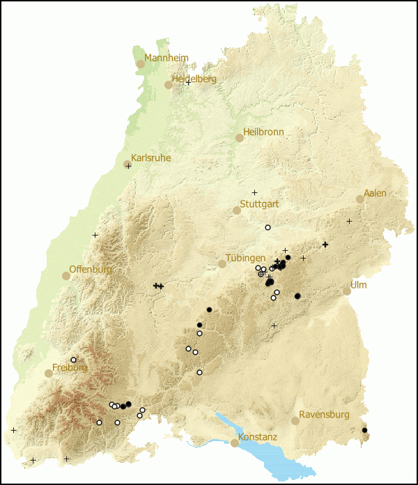 Verbreitung Vitrea subrimata in Baden-Wuerttemberg