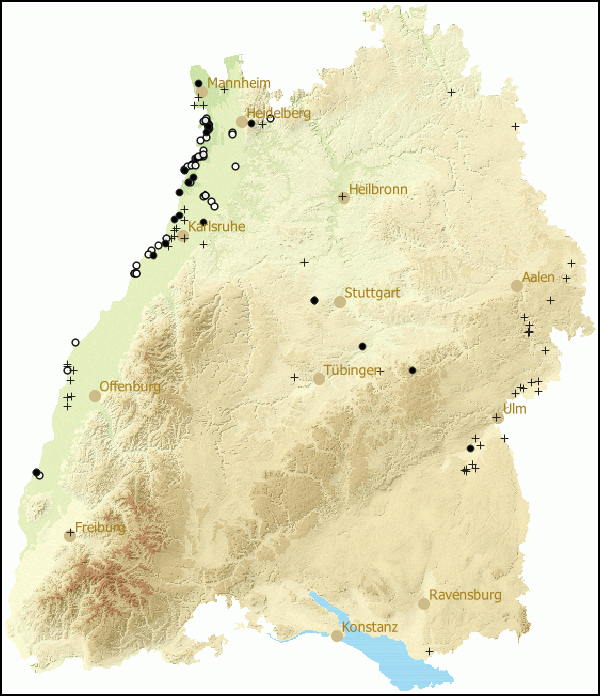 Verbreitung Viviparus contectus in Baden-Wuerttemberg